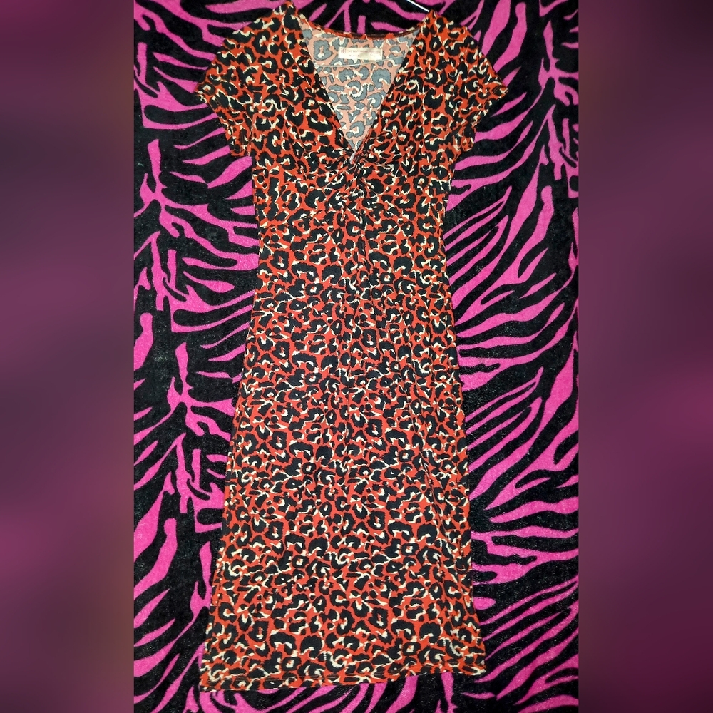Leopard Print Sheath Dress with V-Neck